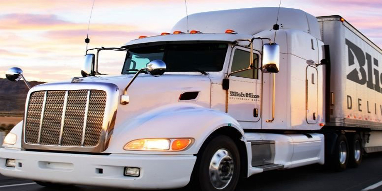 Hardware History Blish Mize